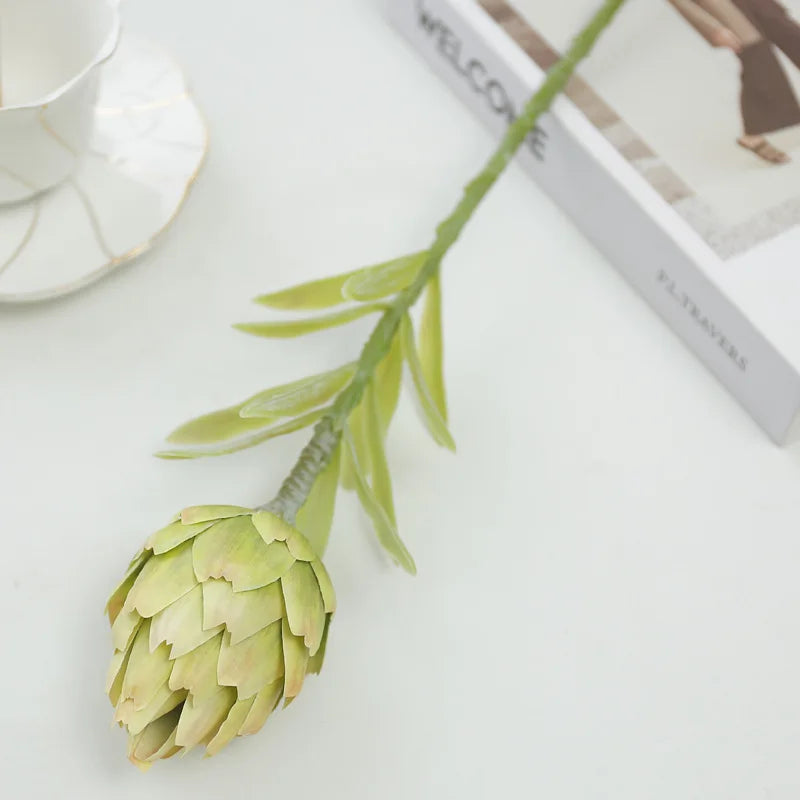 Zila decorative artichoke plant - low maintenance greenery for home