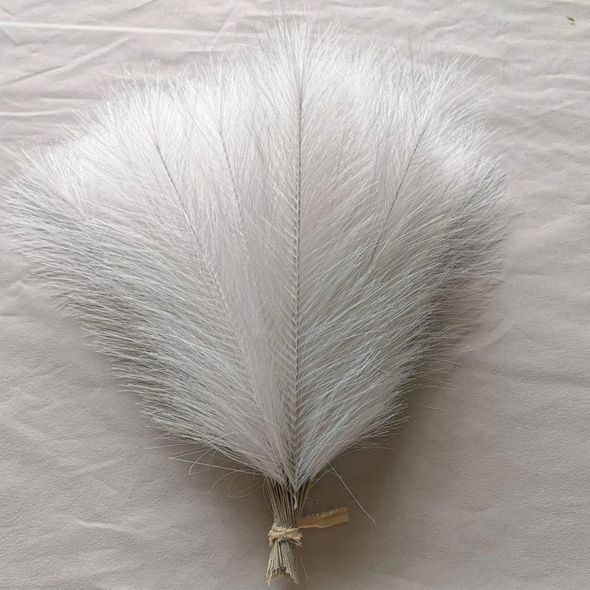 White pampas grass stems - 10 pieces for minimalist and Scandinavian decor